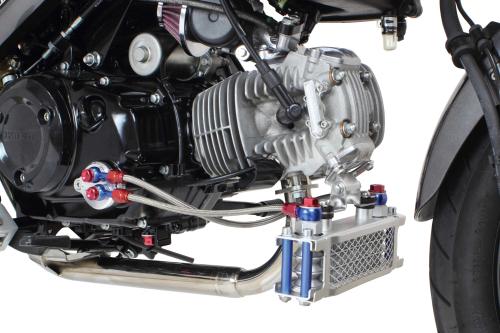 Schema protettiva Kitaco - Honda Monkey 125