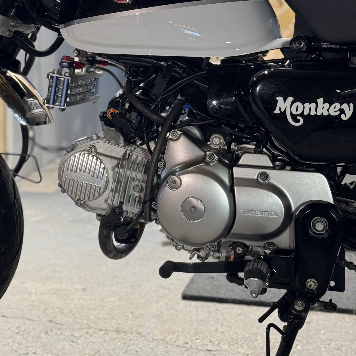 mécanique monkey en france