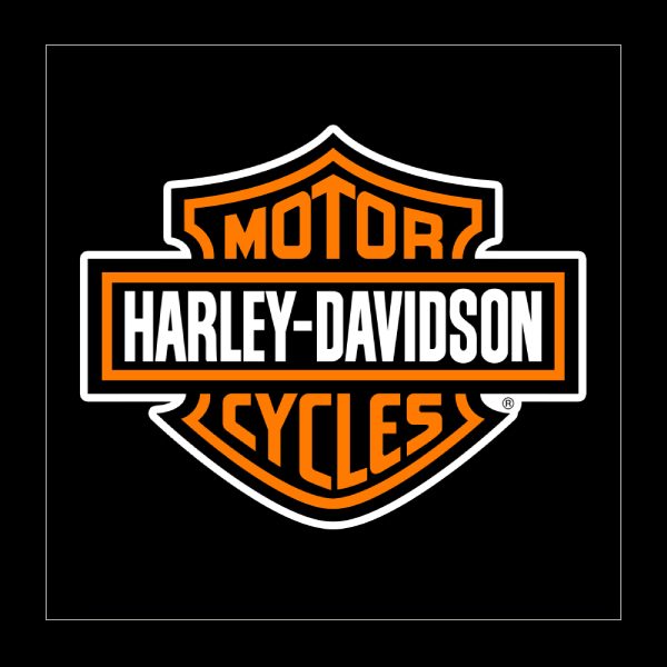 Selles Harley Davidson sur-mesure