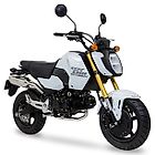 Echappement MORIWAKI MX - GROM ( JC92 )