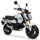 Echappement MORIWAKI MX - GROM ( JC92 )