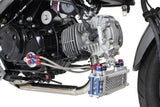 Schema protettiva Kitaco - Honda Monkey 125